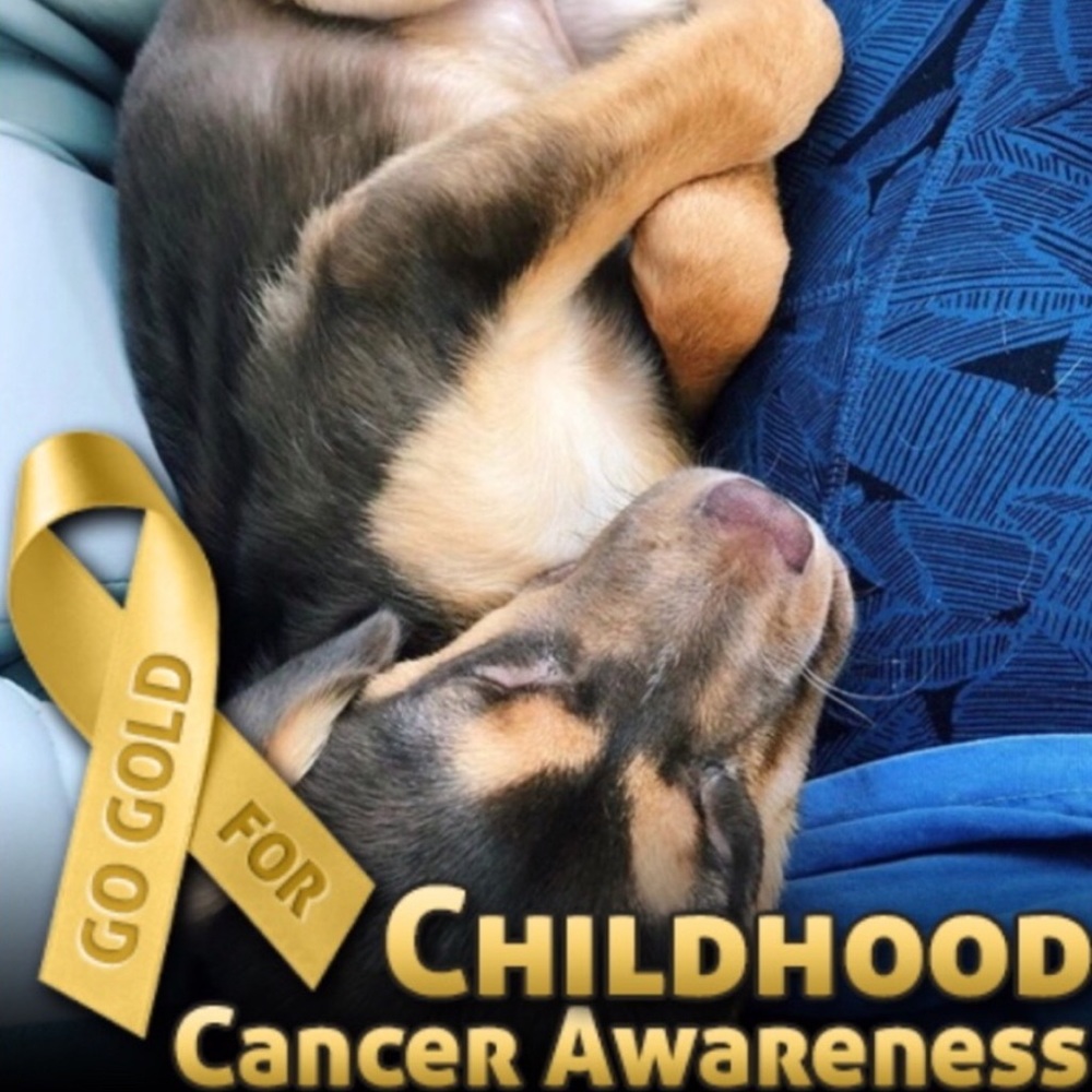 Meet your Posher, Sar